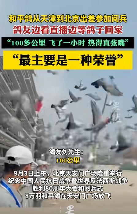 天津信鸽协会的鸽子，参加完阅兵放飞活动后回家了，上午10点26放飞的，第一只鸽子