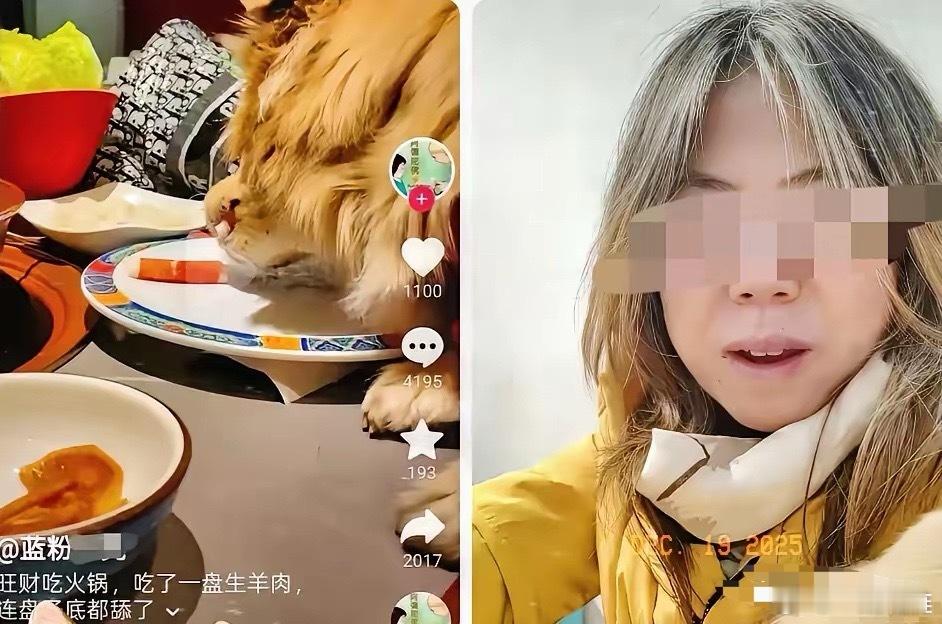 特意去查了一下，那个带狗上桌涮肉的女子，总算是对上号了！这年头见过发视频曝光的别