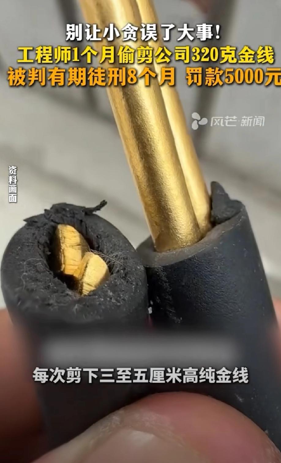 贪小便宜的下场！福建厦门，男子是单位的业务骨干，更是年轻的工程师，本有着美好的事