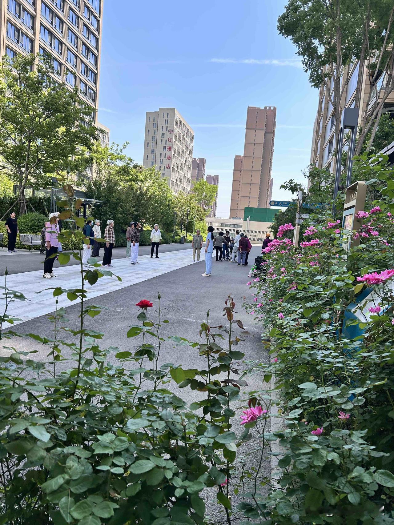 退休后什么最重要？这个话题等于白问，肯定大部分的人会回答，退休后身体最重要。