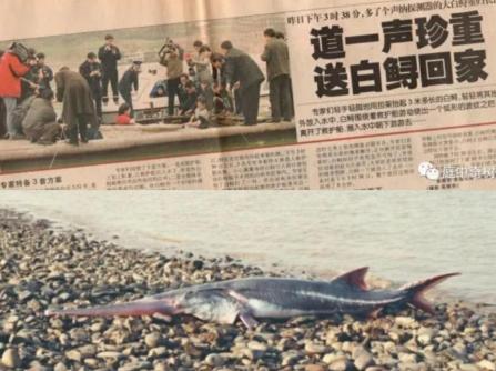 2003年1月24日上午，渔民刘云华和妻子正在长江上打渔。突然，他的船剧烈地摇晃