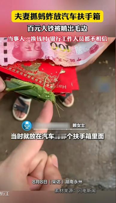“代价太大了！”8月4日，湖南永州，一对夫妻在路边抓了几只蚂蚱，因为没有地方装，