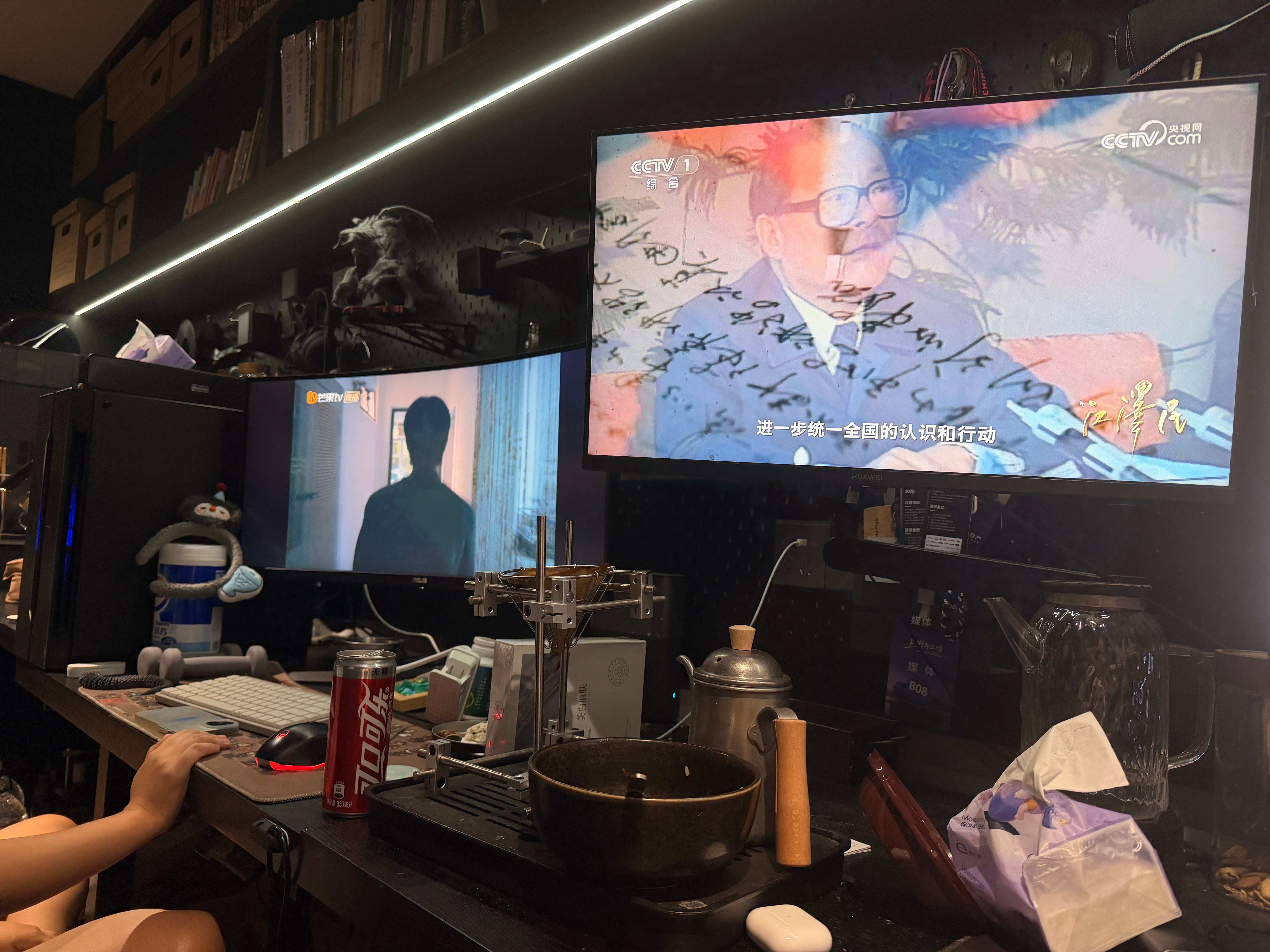 我在看纪录片，我老婆在看什么野狗骨头