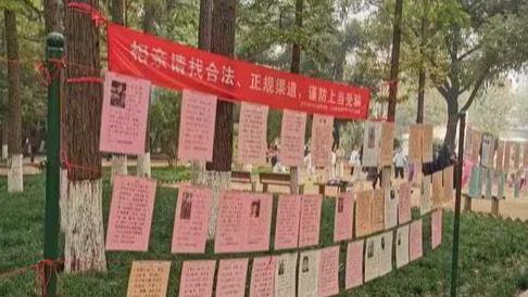 36岁相亲遇“暴击”,年龄成婚恋“紧箍咒”?