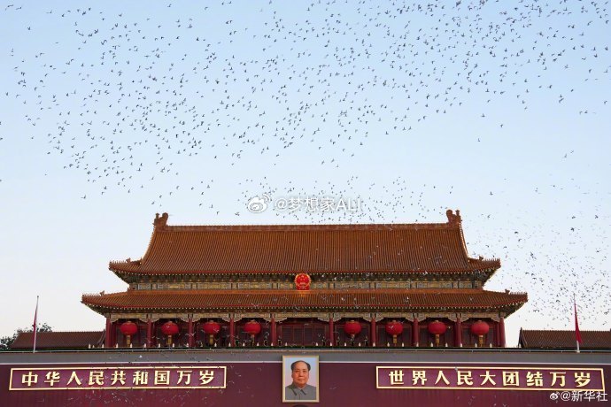 爱我中华，世界和平🌍🕊️新中国成立七十七周年天安门放飞10000多只和平鸽国