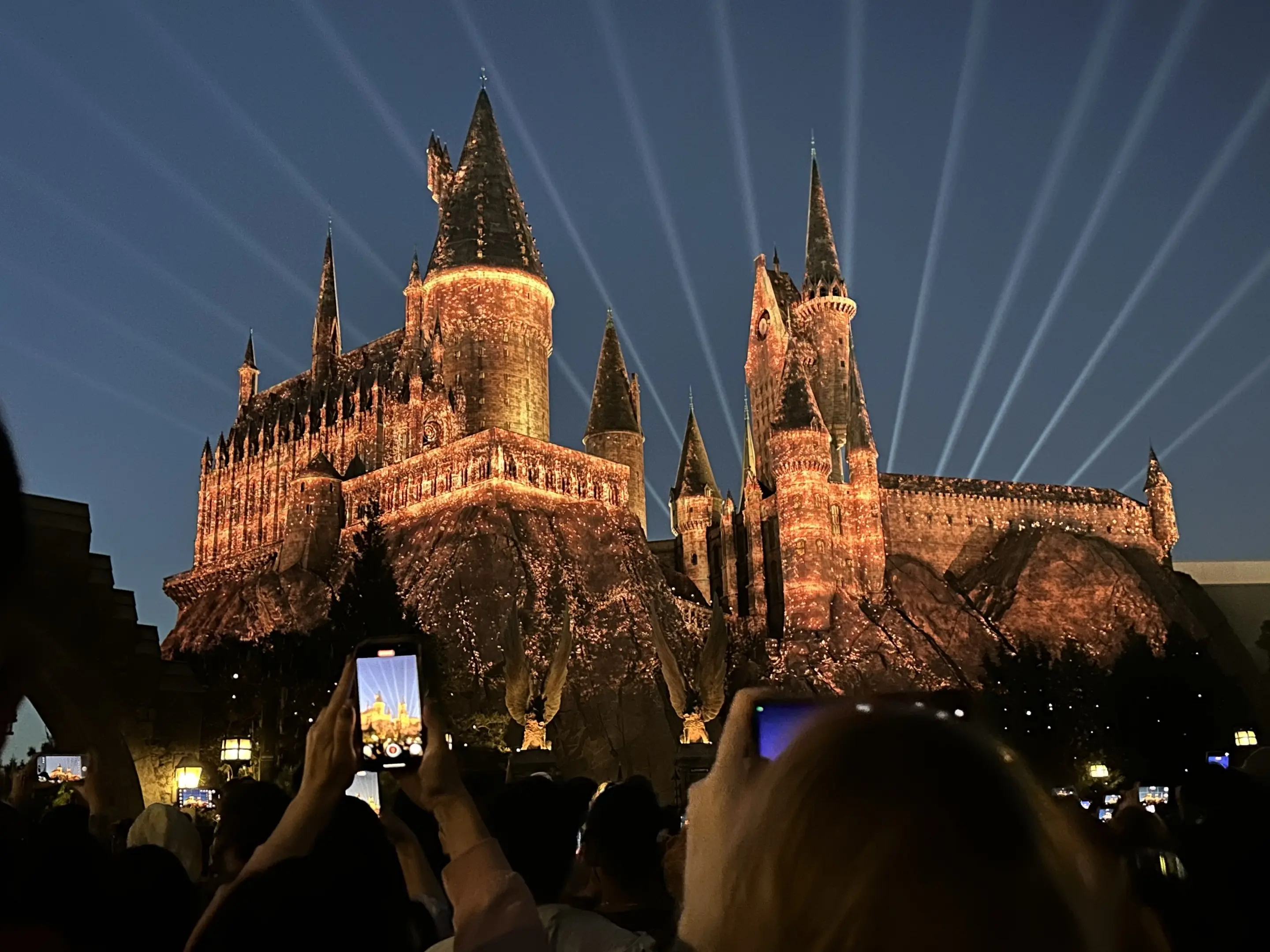 这个世界不能没有主题乐园