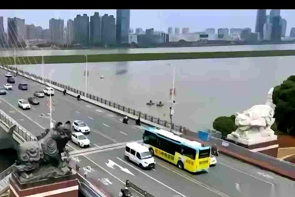 南昌八一大桥上那两只黑猫雕塑，有人提议，要给它们挪个窝。理由挺“实在”：搬去广