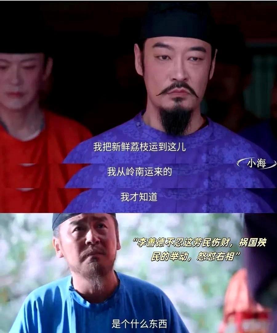 《长安的荔枝》李善德根本没有带袖儿去岭南种荔枝树。他虽然躲过了安史之乱，但他并