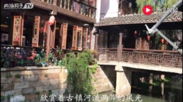 慢游上海金山枫泾古镇,体验古镇悠闲慢生活