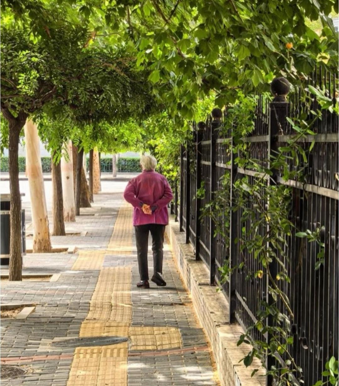 邻居老太太，饭不用做，衣服不用洗，被老伴儿宠了一辈子，没曾想最后却寻了短见!老