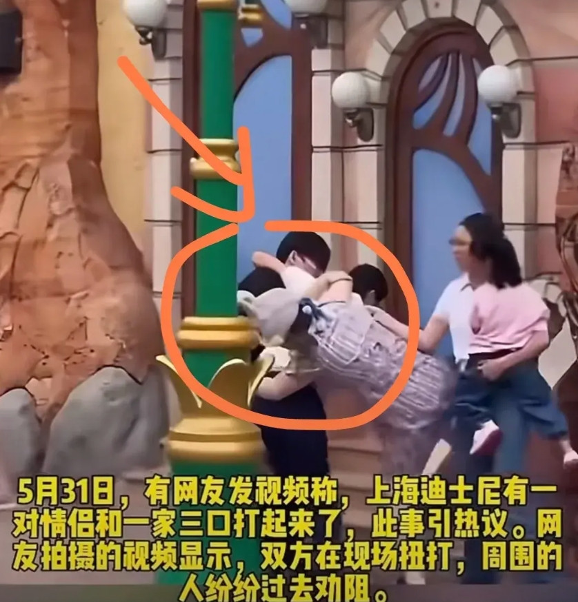 上海迪士尼打人事件终于出通报了！这件事的起因说起来特别匪夷所思。上海警方通过