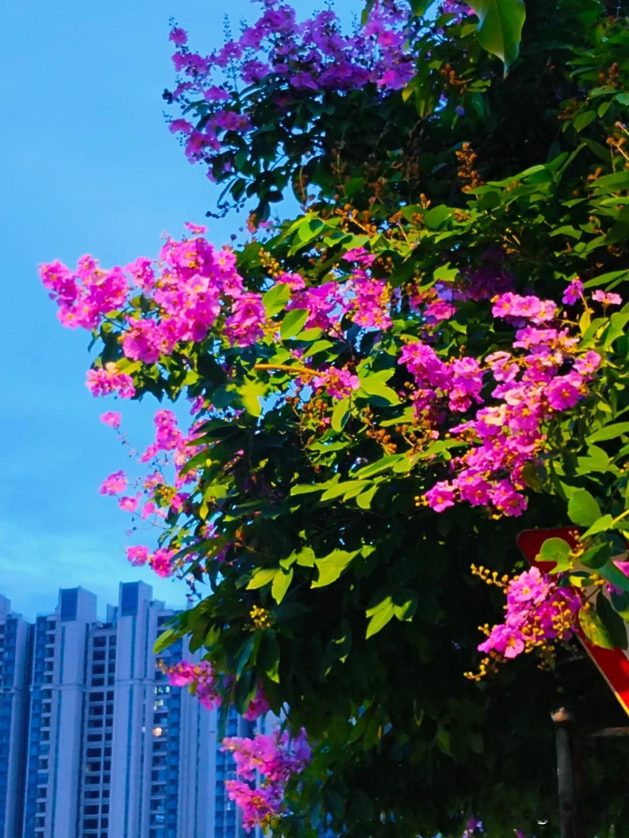 令人唏嘘的话:“死亡其实是有预兆的，人越到快死的时候，身上的气息就越温柔，看世