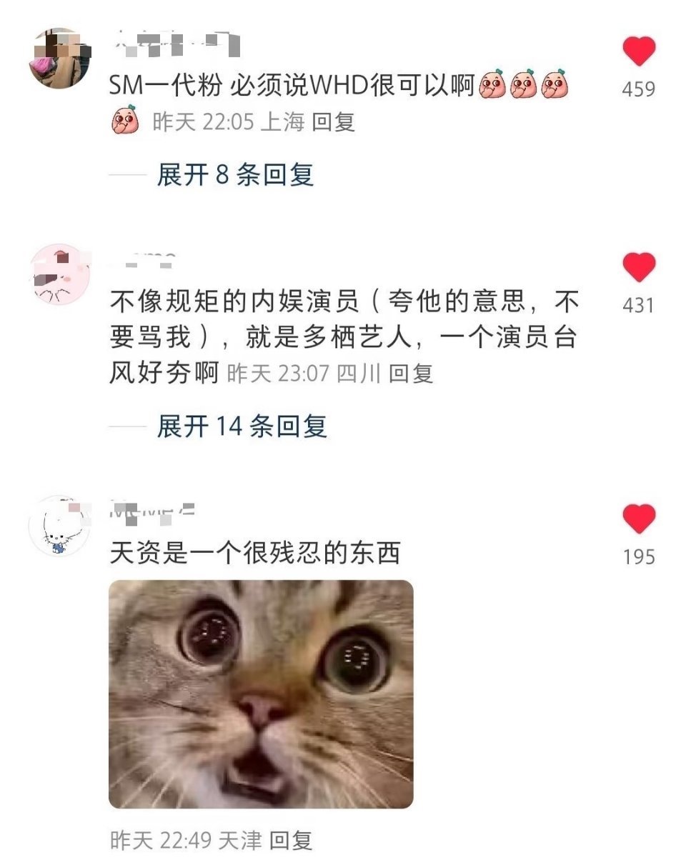 王鹤棣王鹤棣这个圈外路人帖子，看爽了！干演员优秀，舞台也这么优秀！