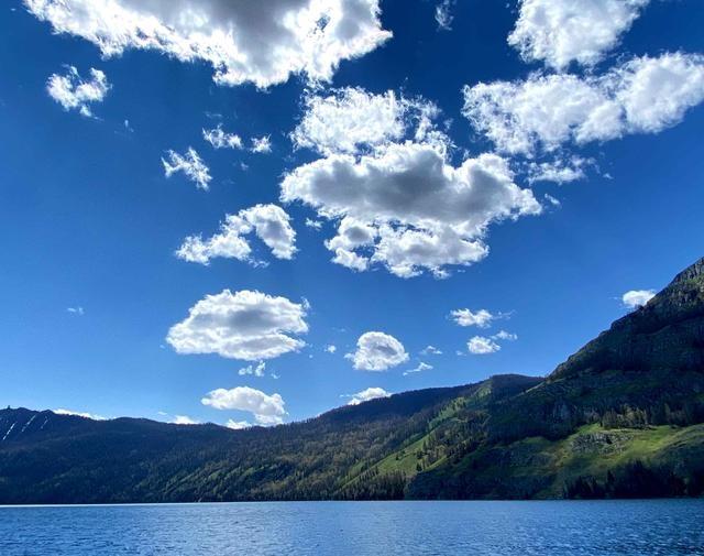 陈德容的玉兔精，美到让人忘了她是妖精。她来演这个角色，简直就是用“琼瑶女主”