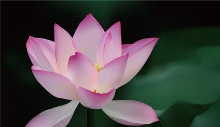 静心，净心。​​​