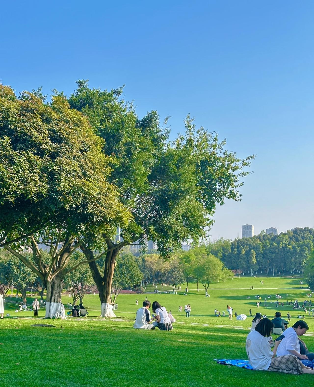为了保命，我彻底切断了所有社交！以前总被人情世故牵着走，扎堆聊天、勉强讨好