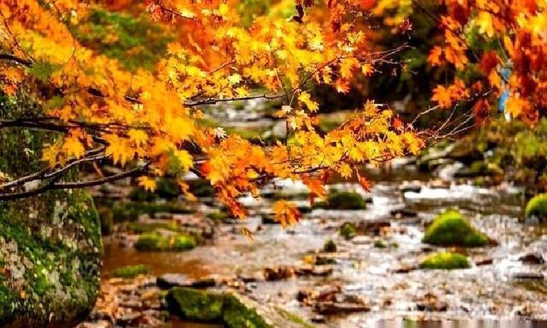 婚外情,根本不是一场浪漫冒险,而是一场隐形的煎熬。你以为偶尔的甜蜜可以填补内心的