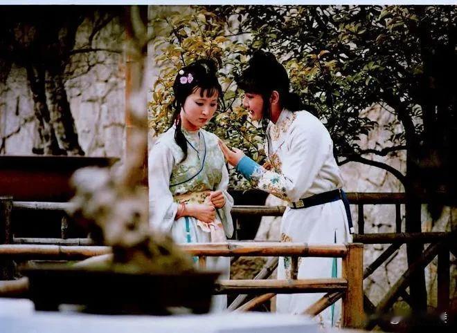 林黛玉关于”庄子因”的那首绝句，看似是嘲讽贾宝玉，实则是控诉袭人与薛宝钗为“盗贼