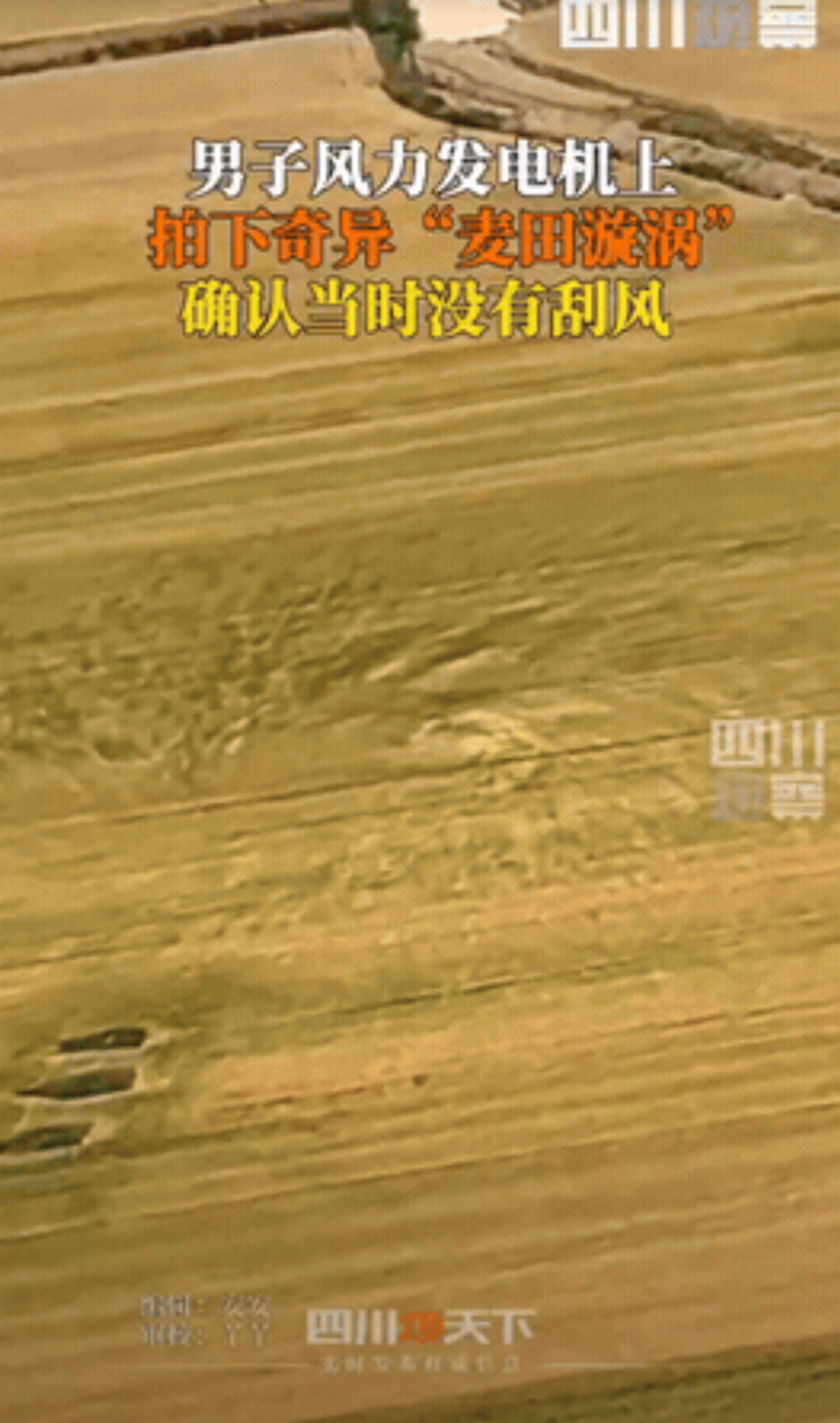 “解释不清了！”安徽，王先生正在风力发电机上，往下一看却发现麦田里多了个会自己动