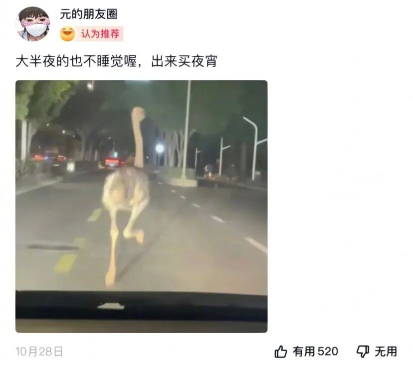 “网友逛动物园被猩猩扔大便...”哈哈哈哈迟早被评论经历笑死！