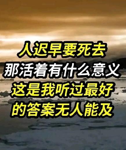 人迟早都会死去，那活着的意义何在？这是我听过最好的答案，没有之一无人能及这句