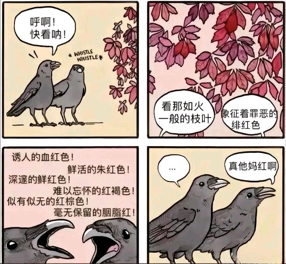 真他妈红啊​​​