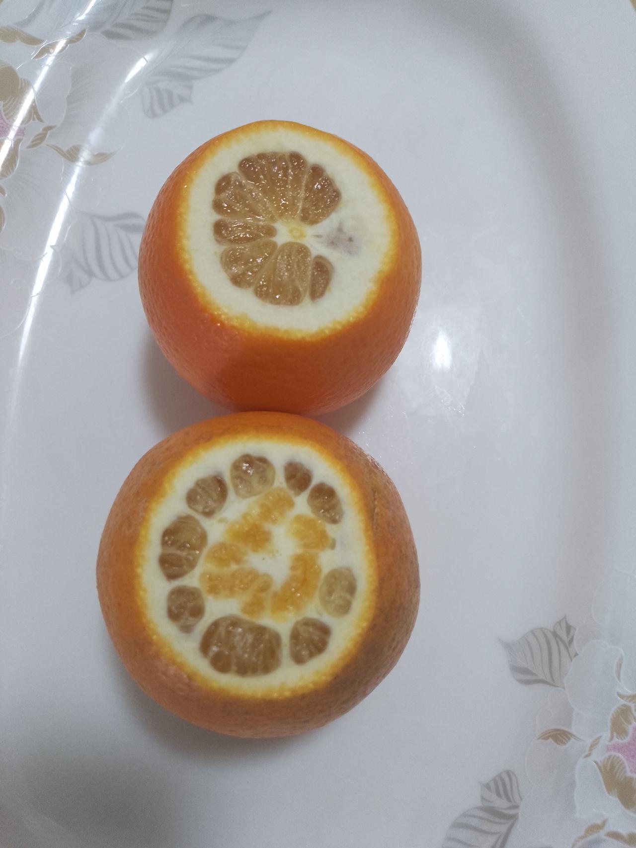 这几天身体不舒服了，我以为是流感，原本想去大沙地那边的大医院看病的，但是又要坐地