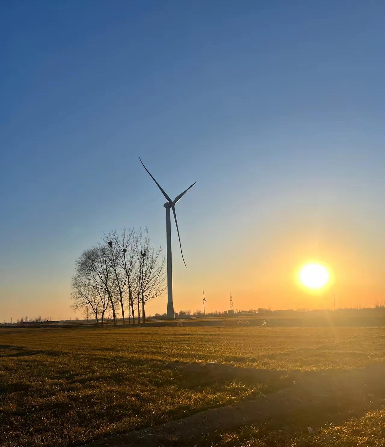 我有个侄子，每年初五来拜年，就自己来不带孩子，每次都带两样礼，一箱水果一箱奶，给