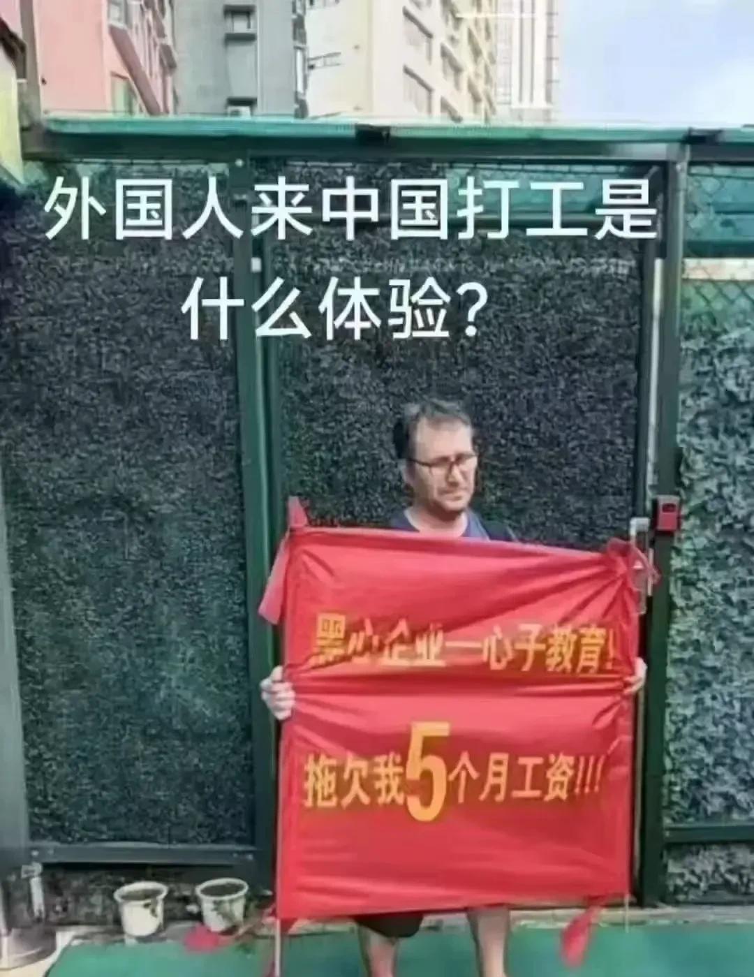 哈哈哈哈，简直要笑死个人！网友：说明老板没有崇洋媚外！#老板不愧是你##老板