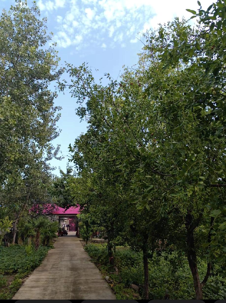 中秋节那天，我才真正懂了：父母的衰老，不是突然发生的，而是在某个瞬间被我们“看见