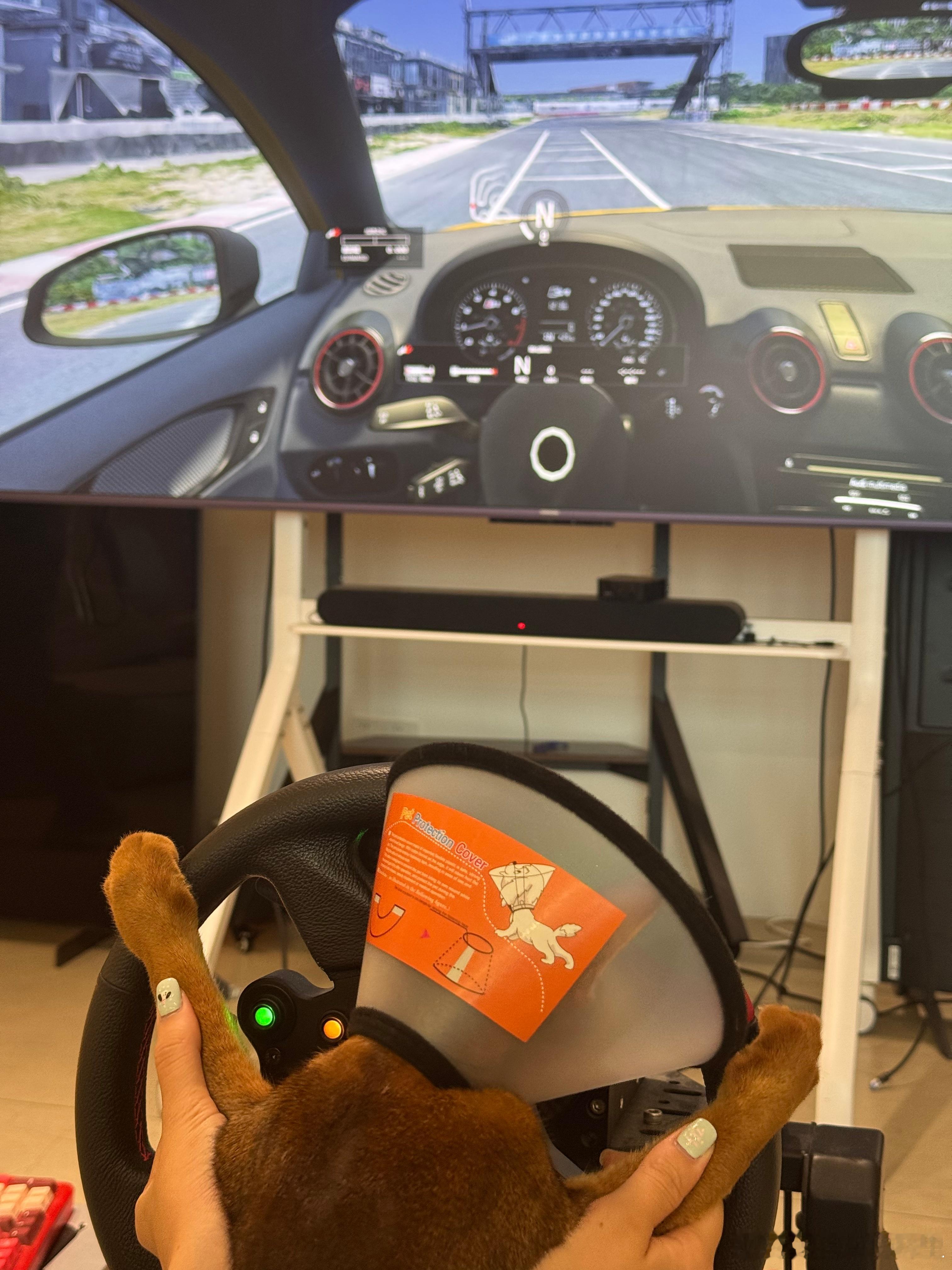 猫猫也开上模拟器啦🏎️​​​