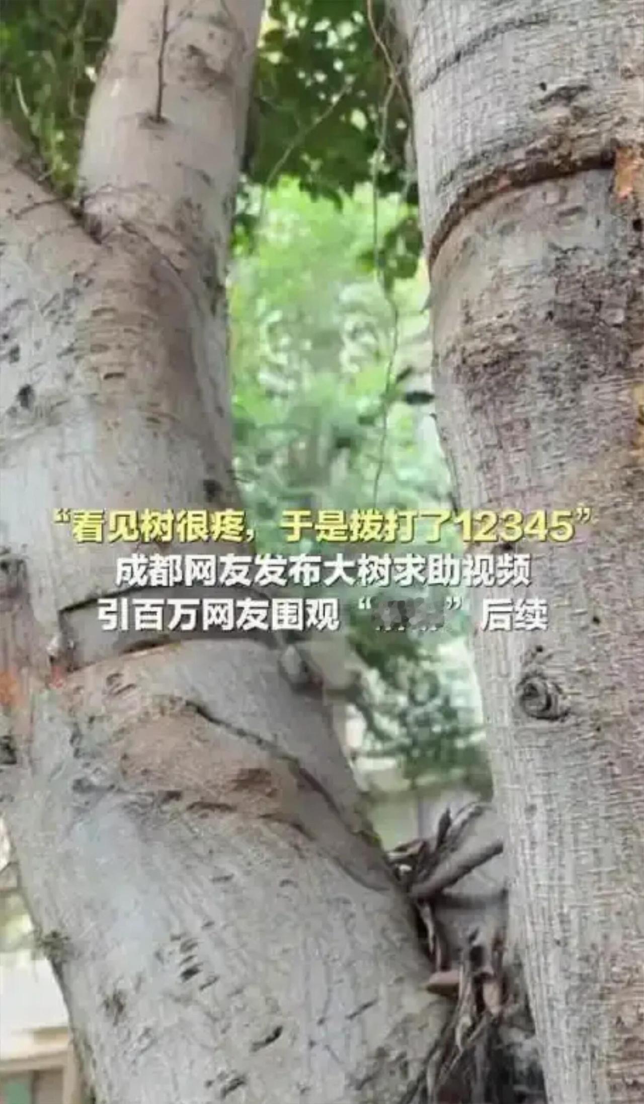 你还真别说，有些事听着离谱，仔细一想又觉得特温暖。就前阵子，成都有个大哥，看到路