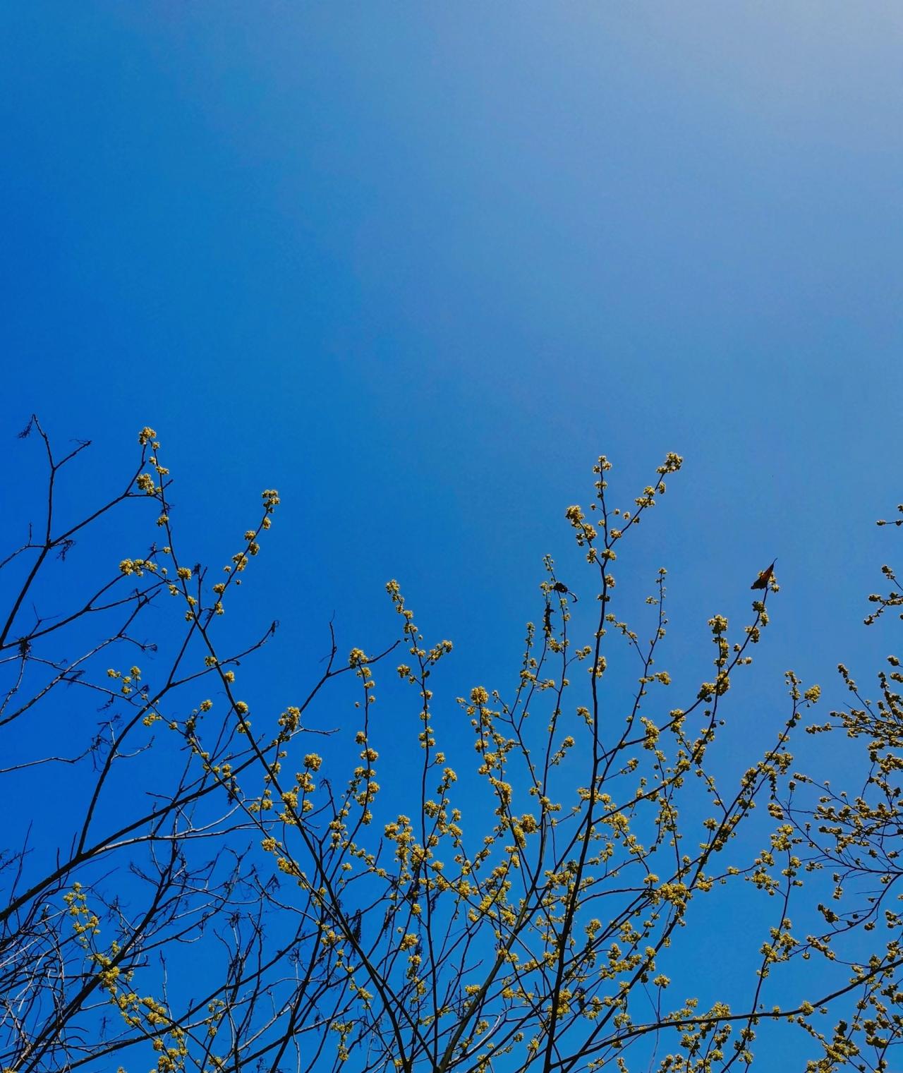刘震云：）男人有女人滋润和长久不滋润是不不同的男人其实就为了这两件事而