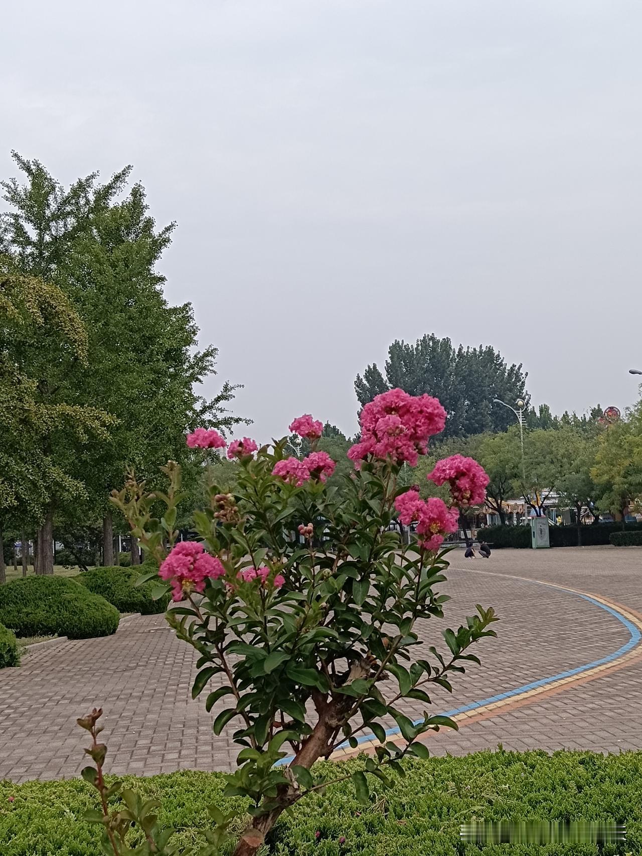 八条很现实的人性铁律1、你的经济，决定了你的话语权。2、朋友关系再好，也不