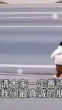 这样的忠犬值得好好善待！狗狗是人类最真诚的朋友，无论贫穷富贵都不会离开你，