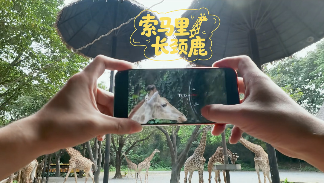 华为Pura90ProMax搭载2亿像素长焦蹲一波华为Pura90的长焦实测！