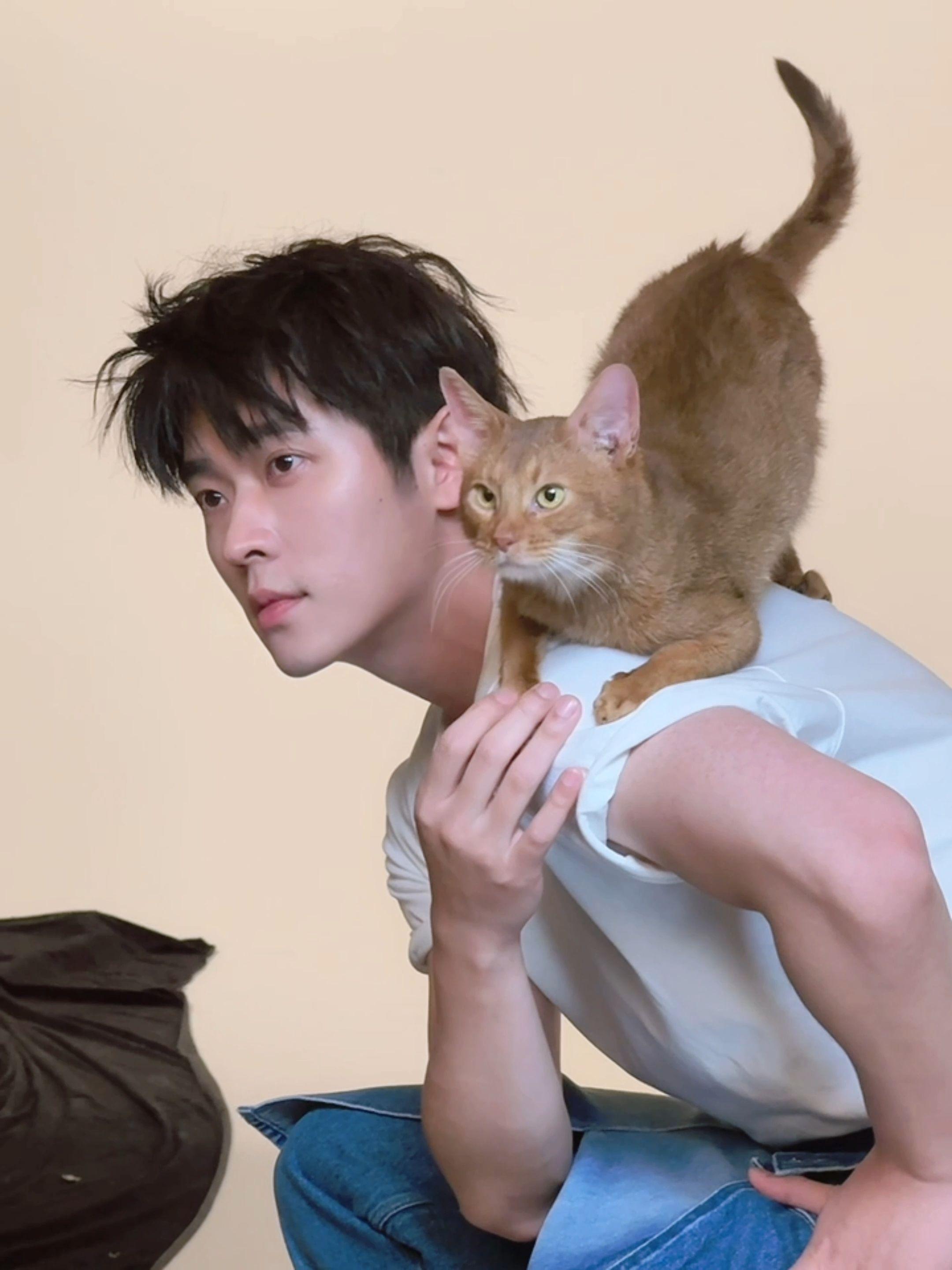 同时抬头好萌吧。