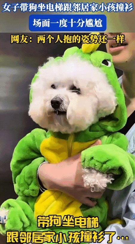 哭笑不得！江苏，女子带狗坐电梯竟跟邻居家小孩撞衫，场面直接变得十分尴尬。当宝宝看