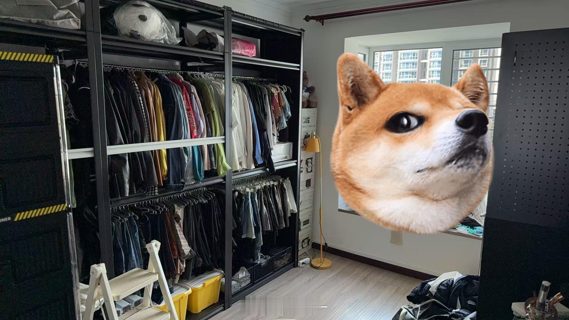 所以我租了个空房[doge]跟房东说不要家具（因为就是给配也是便宜的）买了好多货架搭