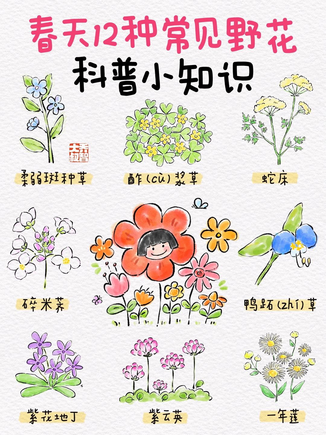 春天12种常见野花科普小知识🌸
