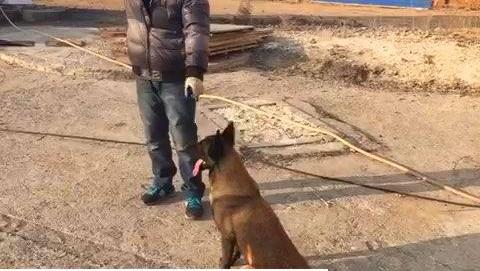 6105417206098274341.jpg?id=0