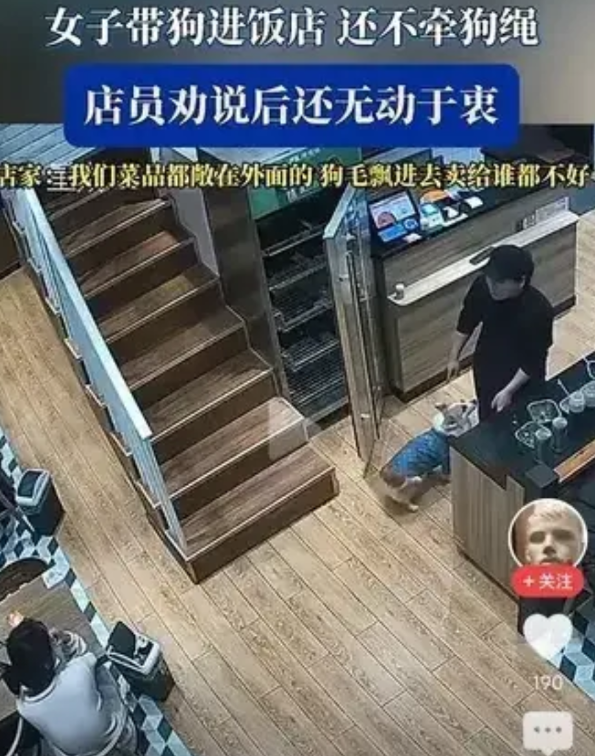 女子带狗进饭店还不牵绳，店家要求牵绳，女子却说我的狗不咬人。店家说不是咬不咬人的