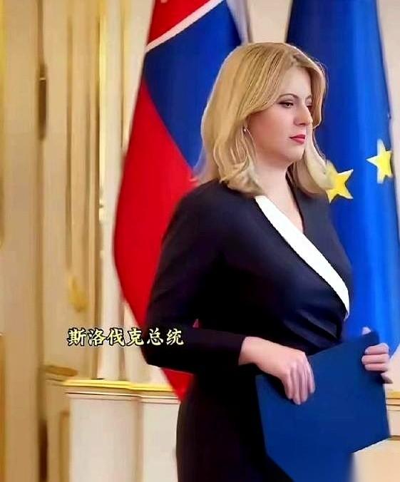 斯洛伐克有个女总统，叫恰普托娃。但她干过最硬的一件事，跟总统半毛钱关系没有。