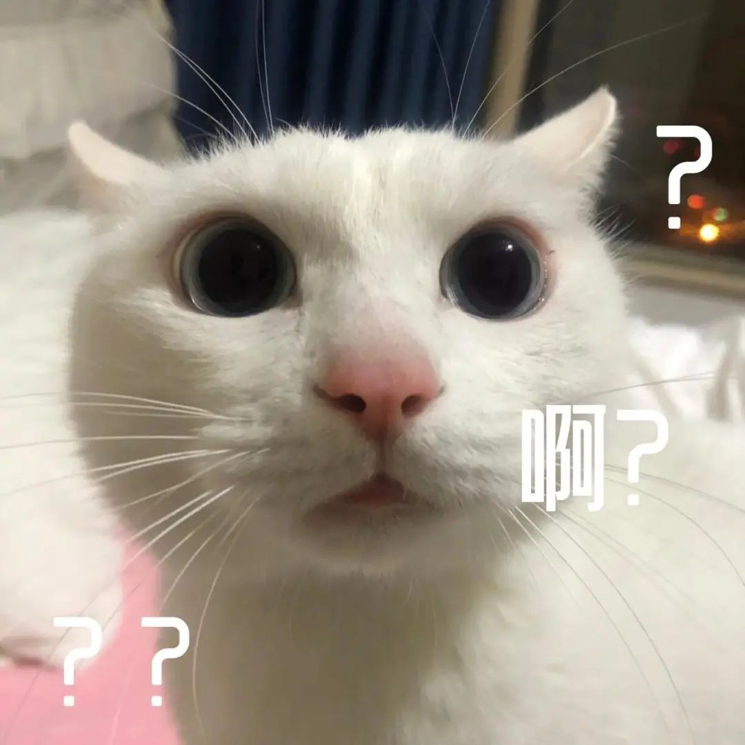 不好用的表情包我不发