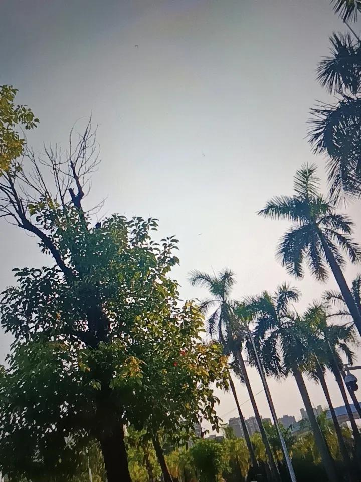 离了婚的女人都逃不过两个下场打开手机刷到这句话，我差点把茶杯摔了。谁定的规矩