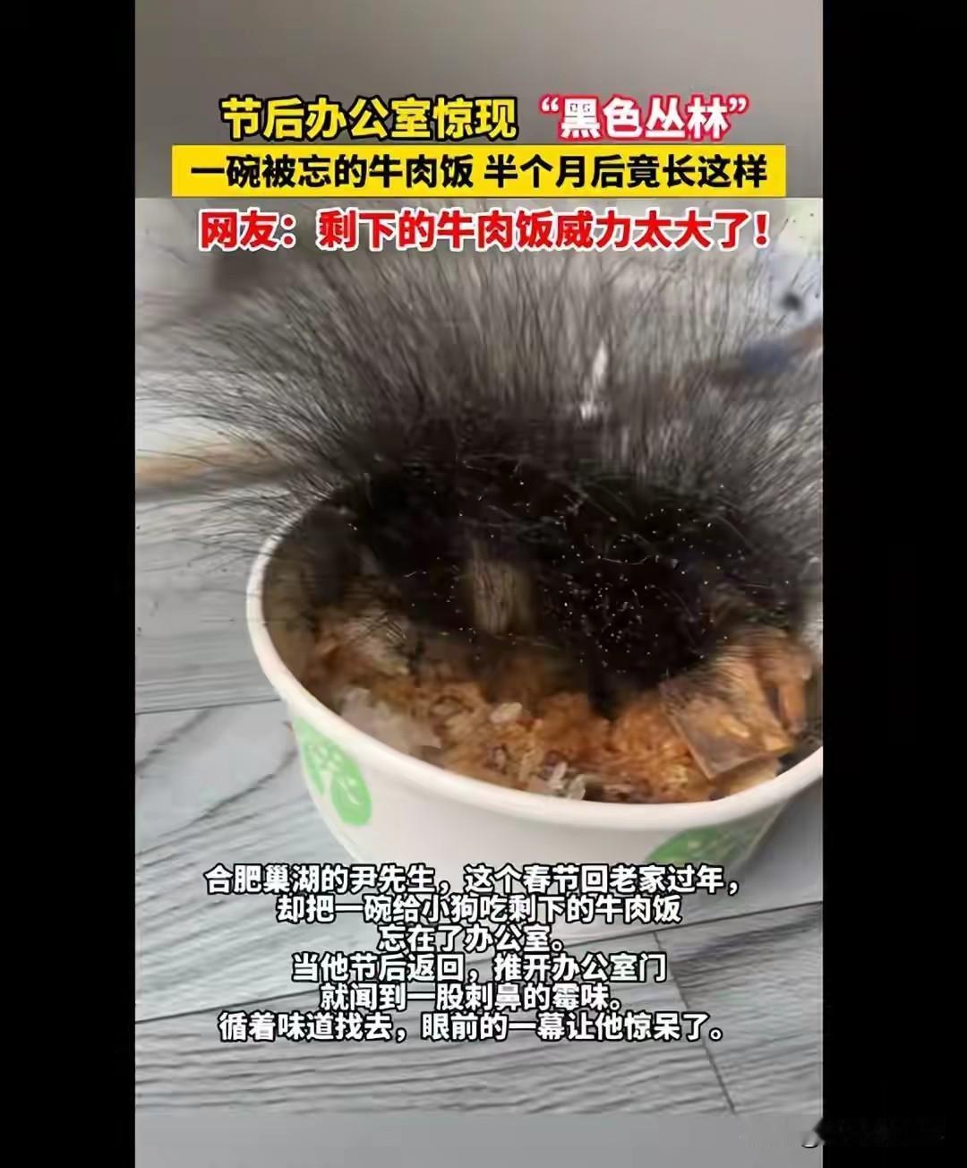 2026年2月10日，尹先生收拾行李返回巢湖老家过春节，临行前忙着锁门、断电、整