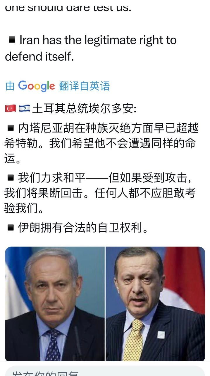 每逢大事，哪能少得了埃尔多安。​​​