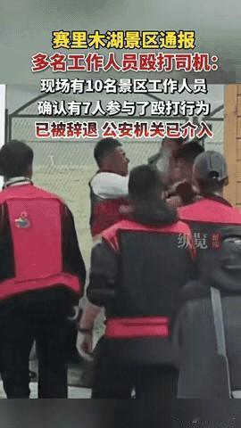 7个人打1个！赛里木湖景区，你真牛！