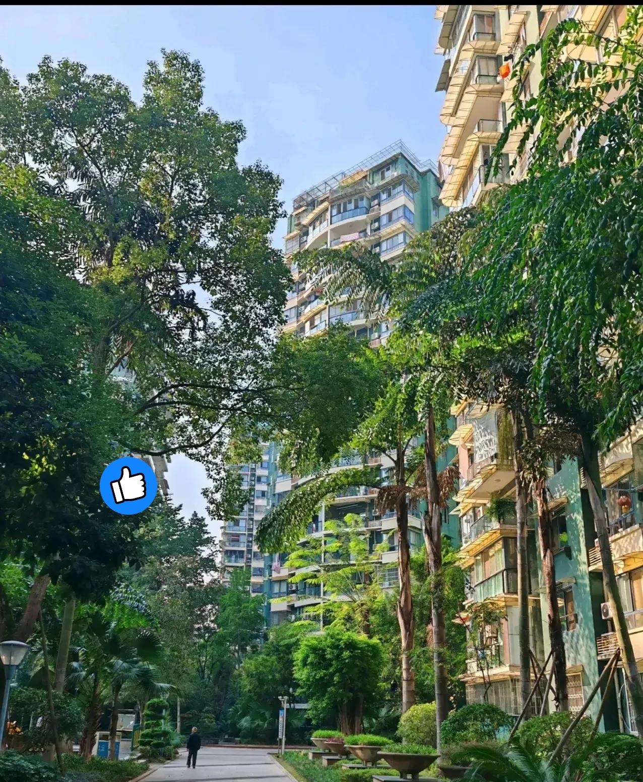 判断房价涨跌，有个土办法：你把房子往中介那一挂：如果中介不停带人来看房、