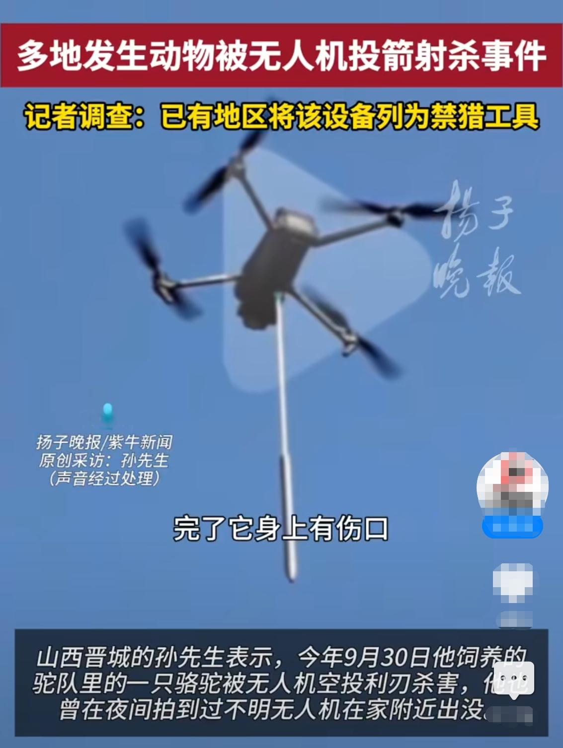 国内无人机闯祸了!近日,有位山西吕梁的网友在网络媒体发布视频称,他自己养的马